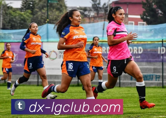 App Interface Preview