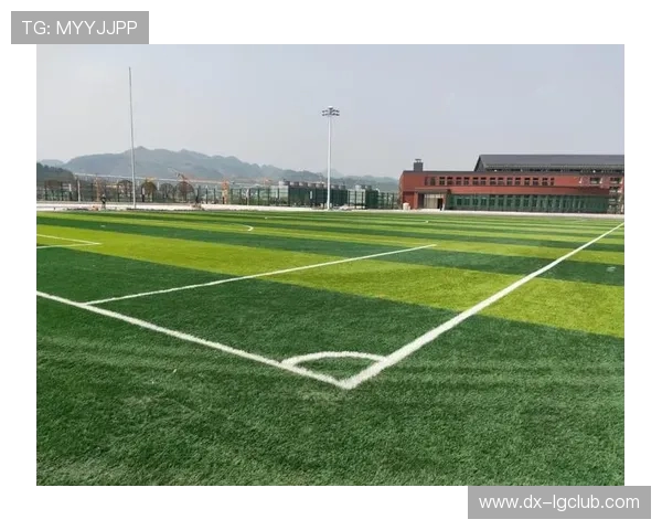 全面解析围绕足球知识设计的公考精选试题深度研究与应用探讨方案