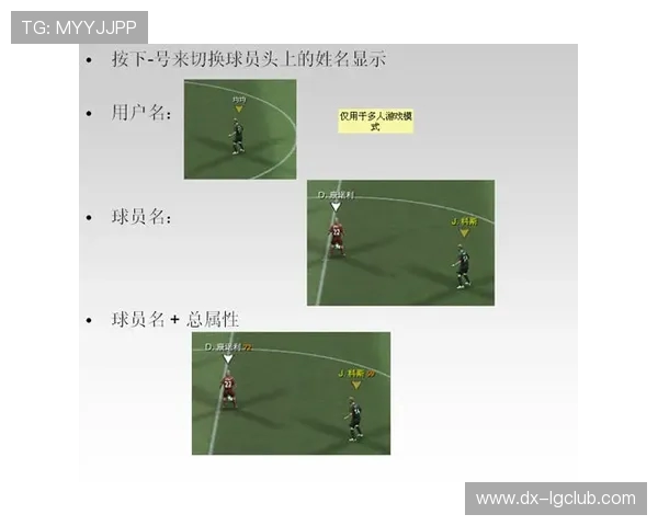 围绕朱雀战术版足球价格全方位全面解析市场趋势与实用选购指南篇